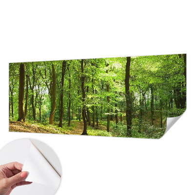 Peel and stick wallpaper mural with a natural path design