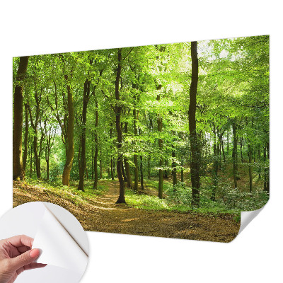 Peel and stick wallpaper mural with a natural path design