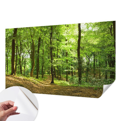 Peel and stick wallpaper mural with a natural path design