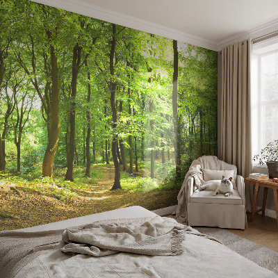 Peel and stick wallpaper mural with a natural path design