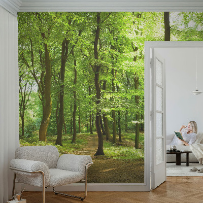 Peel and stick wallpaper mural with a natural path design
