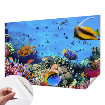 Self-adhesive wall mural with a coral reef motif