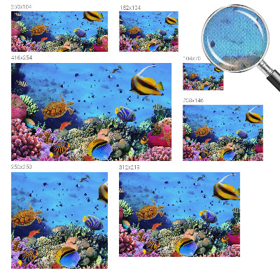 Self-adhesive wall mural with a coral reef motif