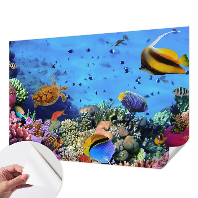 Self-adhesive wall mural with a coral reef motif