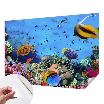 Self-adhesive wall mural with a coral reef motif