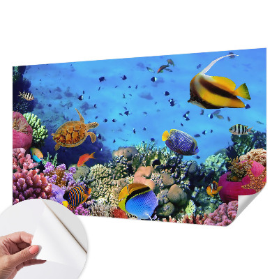 Self-adhesive wall mural with a coral reef motif