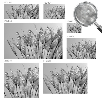 Stick-on wall mural with a wet-inspired delicate design
