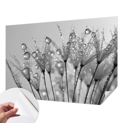 Stick-on wall mural with a wet-inspired delicate design
