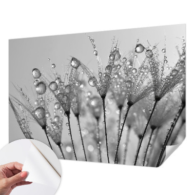 Stick-on wall mural with a wet-inspired delicate design