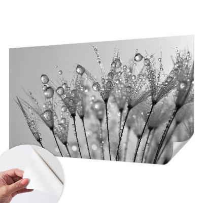 Stick-on wall mural with a wet-inspired delicate design