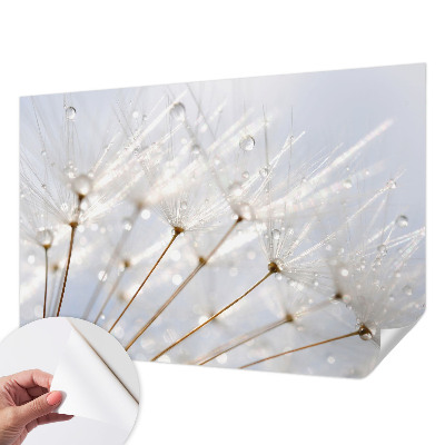 Removable wall mural Rosy dandelion