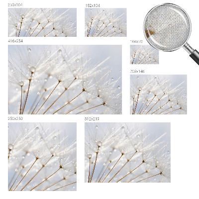 Removable wall mural with a rosy dandelion design