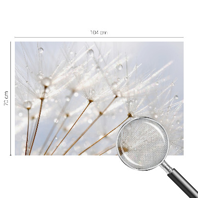 Removable wall mural with a rosy dandelion design