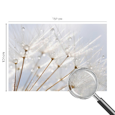 Removable wall mural with a rosy dandelion design