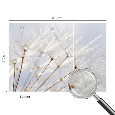 Removable wall mural Rosy dandelion