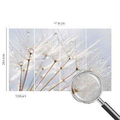 Removable wall mural Rosy dandelion