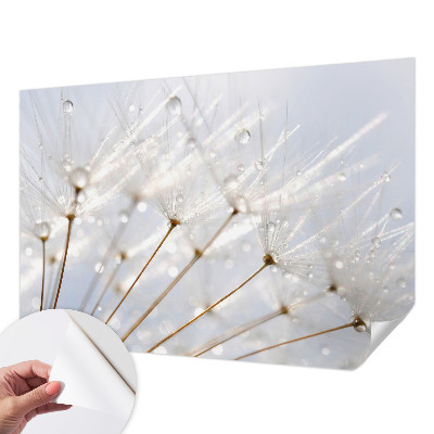 Removable wall mural with a rosy dandelion design