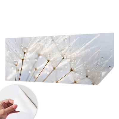 Removable wall mural with a rosy dandelion design