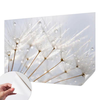 Removable wall mural with a rosy dandelion design