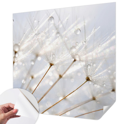 Removable wall mural Rosy dandelion