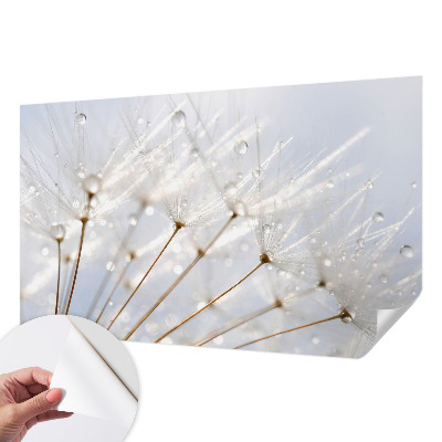 Removable wall mural with a rosy dandelion design