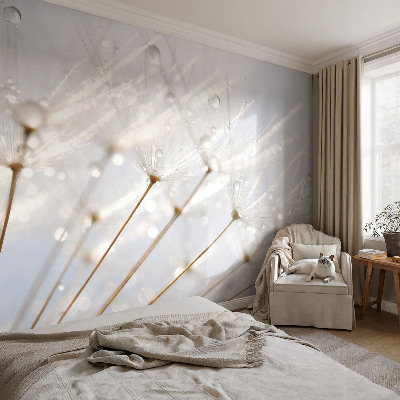 Removable wall mural with a rosy dandelion design