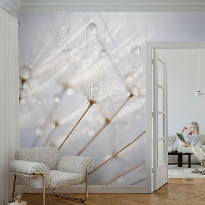 Removable wall mural Rosy dandelion