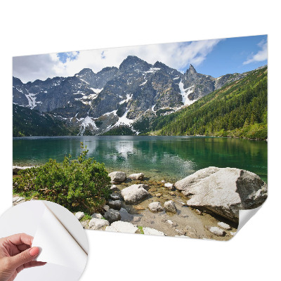 Peel and stick wall mural for kids' room Mountain lake