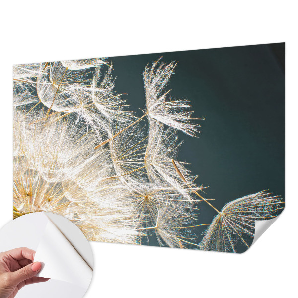 3D wall mural with a dandelion motif titled