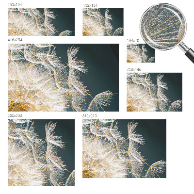 3D wall mural with a dandelion motif titled 