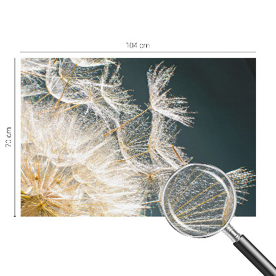 3D wall mural with a dandelion motif titled 