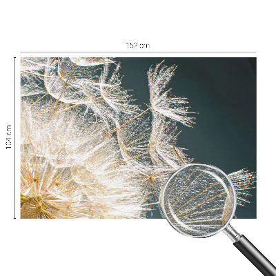 3D wall mural with a dandelion motif titled 