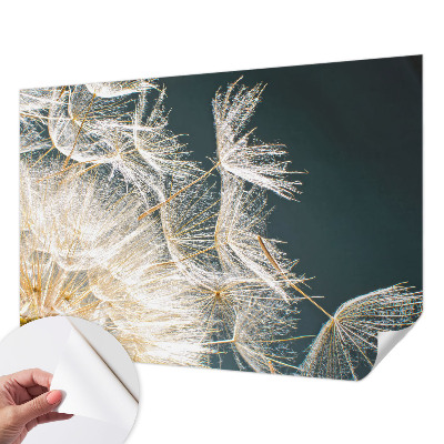 3D wall mural with a dandelion motif titled 