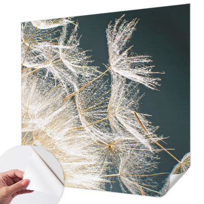 3D wall mural with a dandelion motif titled 