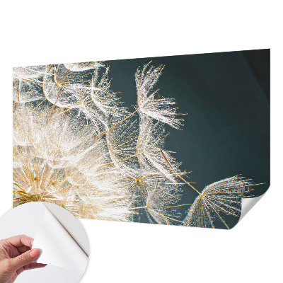 3D wall mural with a dandelion motif titled 