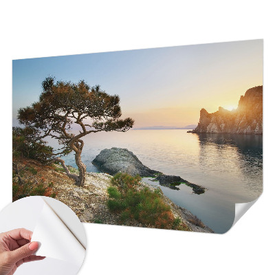 Peel and stick wall mural featuring a peaceful nature scene