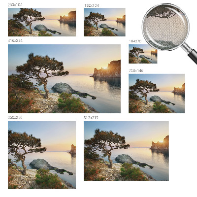 Peel and stick wall mural featuring a peaceful nature scene