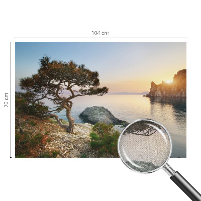 Peel and stick wall mural featuring a peaceful nature scene