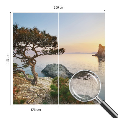 Peel and stick wall mural featuring a peaceful nature scene