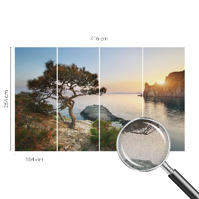 Peel and stick wall mural featuring a peaceful nature scene