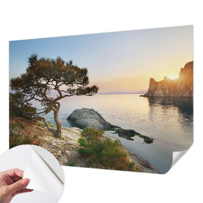 Peel and stick wall mural featuring a peaceful nature scene