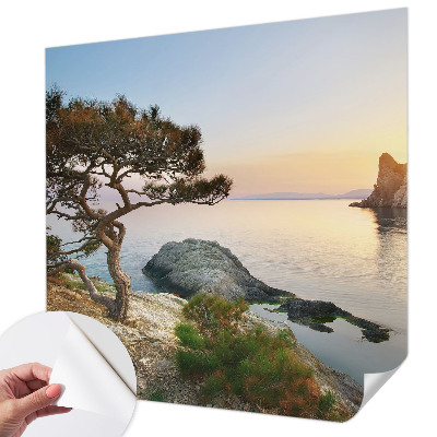 Peel and stick wall mural featuring a peaceful nature scene