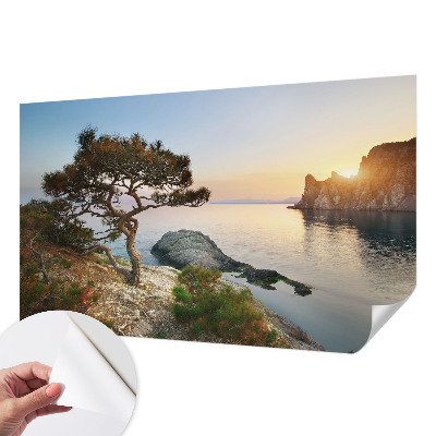 Peel and stick wall mural featuring a peaceful nature scene
