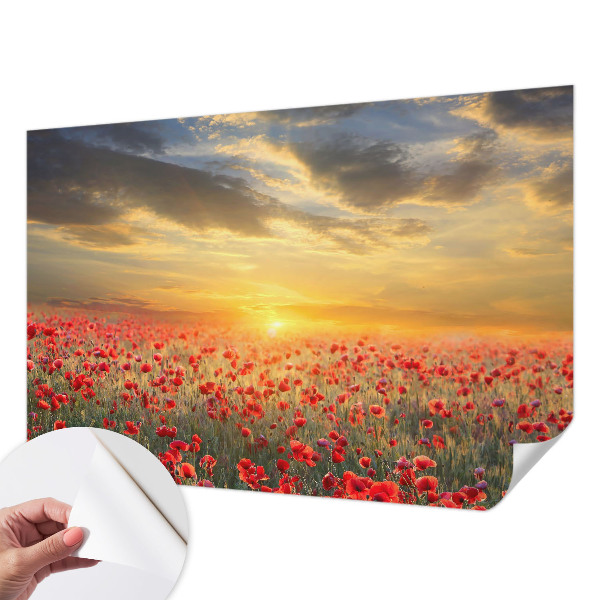 Peel and stick wallpaper mural with a poppy field design