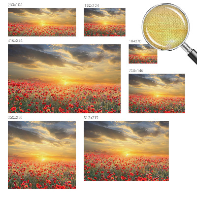 Peel and stick wallpaper mural with a poppy field design