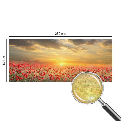 Peel and stick wallpaper mural Poppy field