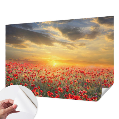 Peel and stick wallpaper mural with a poppy field design