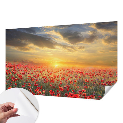 Peel and stick wallpaper mural with a poppy field design