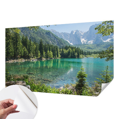 Stick-on wall mural Green lake