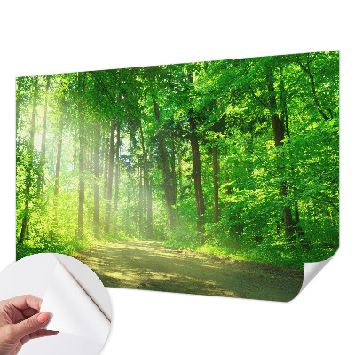 Self-adhesive wall mural featuring a forest path motif
